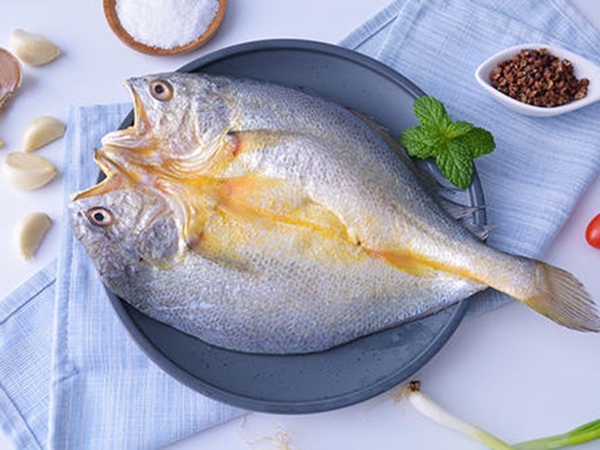 黃花魚(yú)