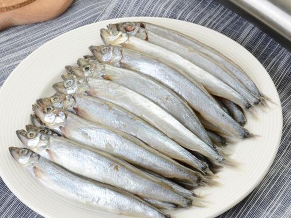 多春魚(yú)